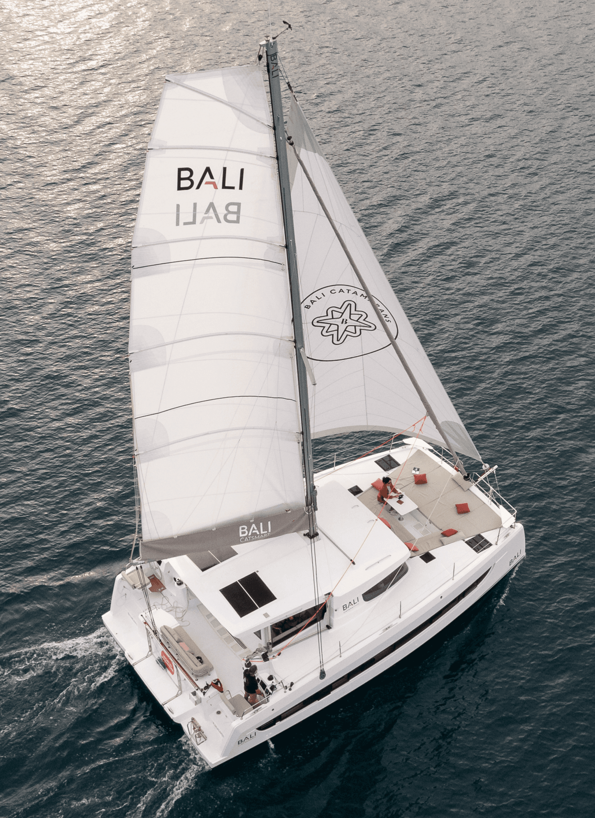 Catsmart in top view navigation